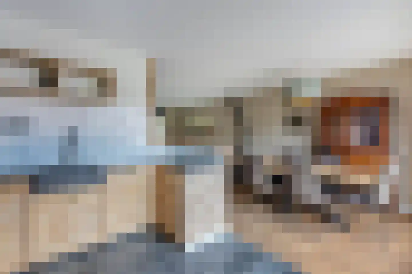 Sportsingel 18 Bant thumbnail 19