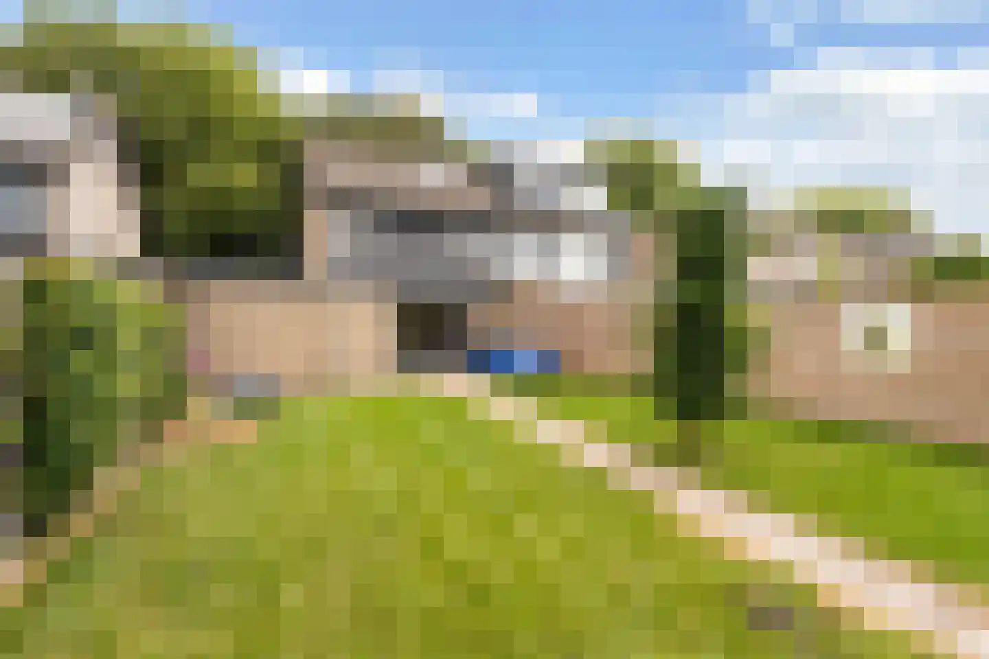 Sportsingel 18 Bant thumbnail 44