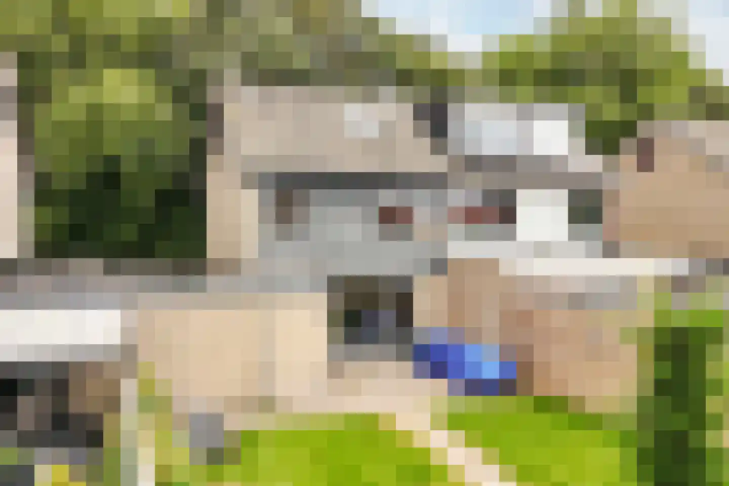 Sportsingel 18 Bant thumbnail 45