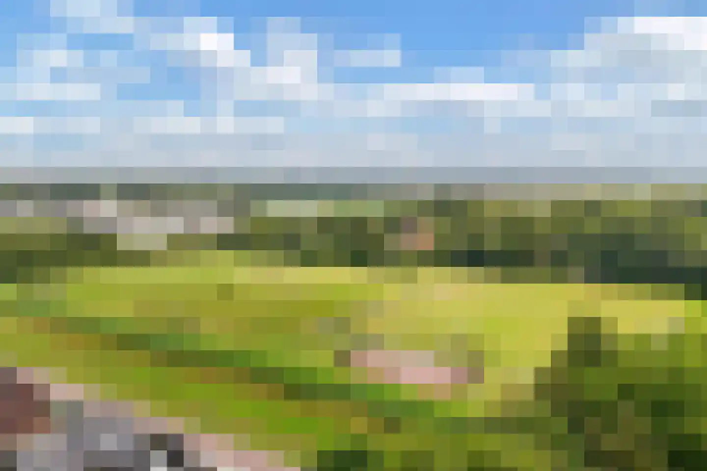 Sportsingel 18 Bant thumbnail 47