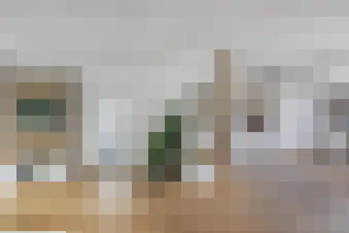 Sportsingel 20 Bant thumbnail 12