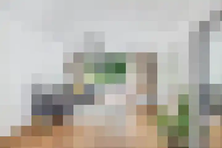 Sportsingel 20 Bant thumbnail 13