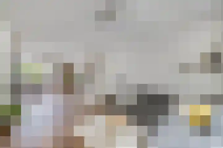 Sportsingel 20 Bant thumbnail 14