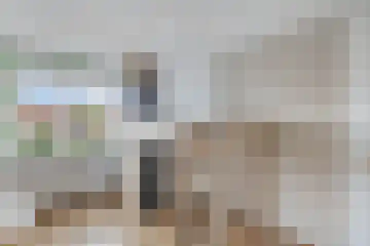 Sportsingel 20 Bant thumbnail 20
