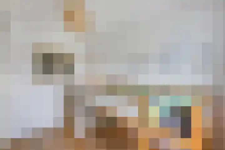 Sportsingel 20 Bant thumbnail 23