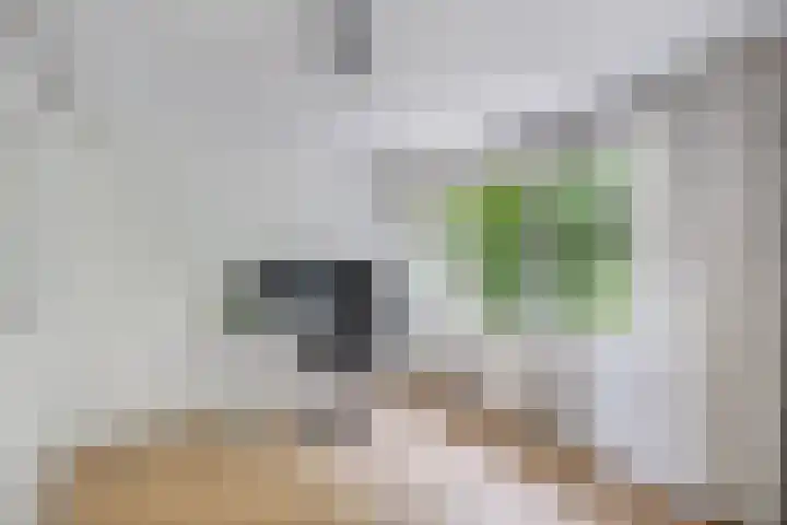 Sportsingel 20 Bant thumbnail 24
