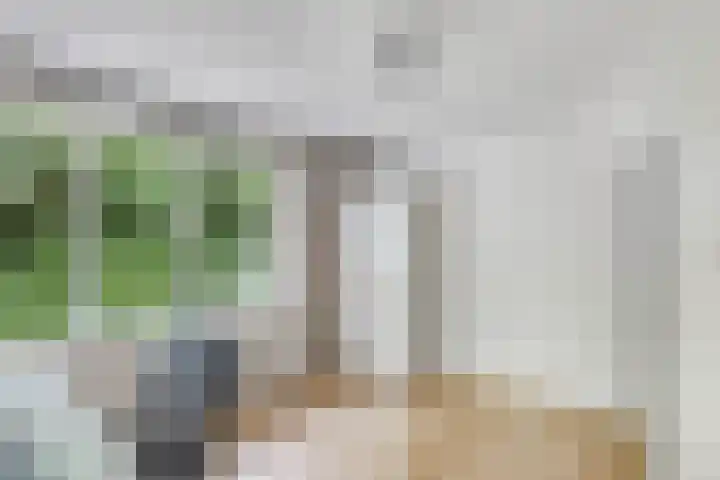 Sportsingel 20 Bant thumbnail 25