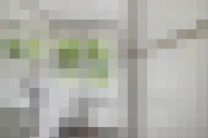 Sportsingel 20 Bant thumbnail 26