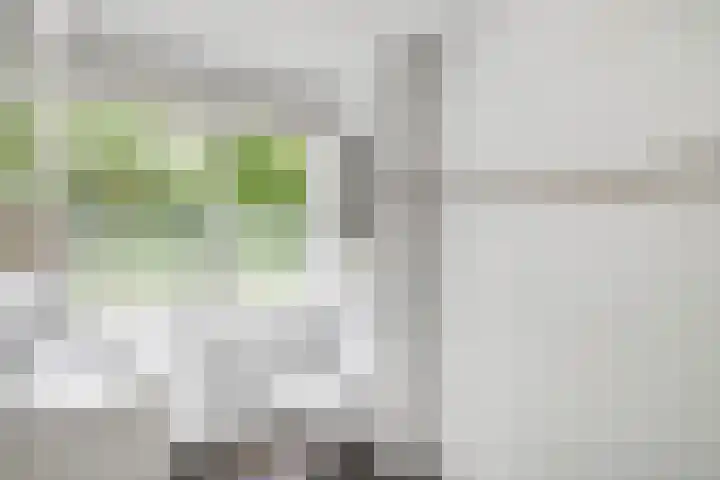 Sportsingel 20 Bant thumbnail 27