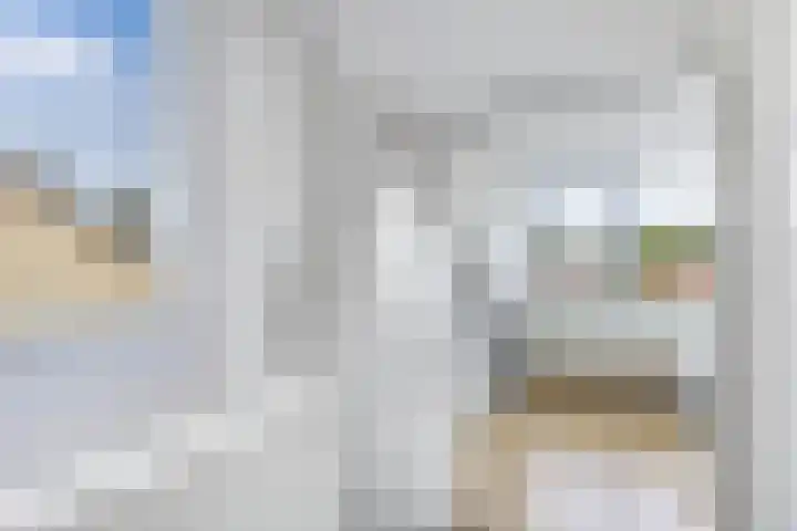 Sportsingel 20 Bant thumbnail 30