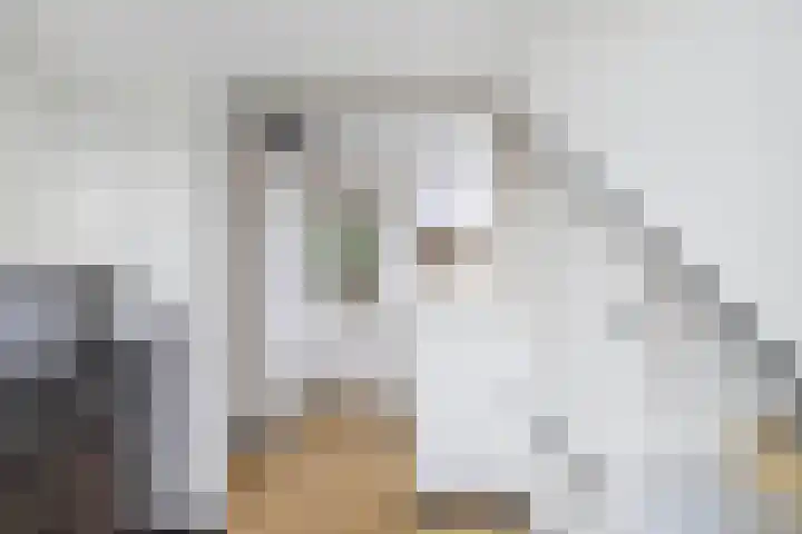 Sportsingel 20 Bant thumbnail 31