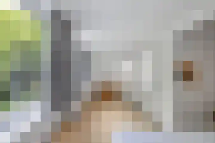 Sportsingel 20 Bant thumbnail 34