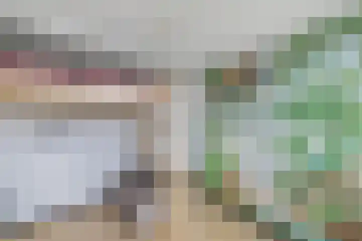 Sportsingel 20 Bant thumbnail 36