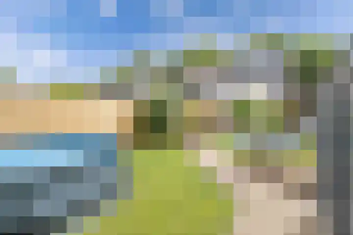 Sportsingel 20 Bant thumbnail 37