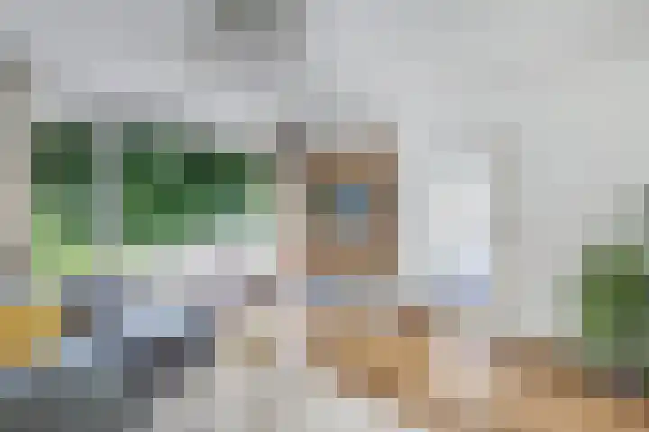 Sportsingel 20 Bant thumbnail 4