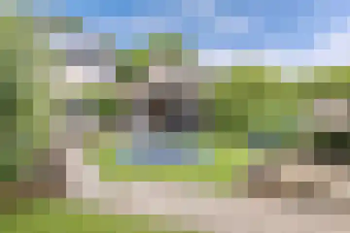 Sportsingel 20 Bant thumbnail 40