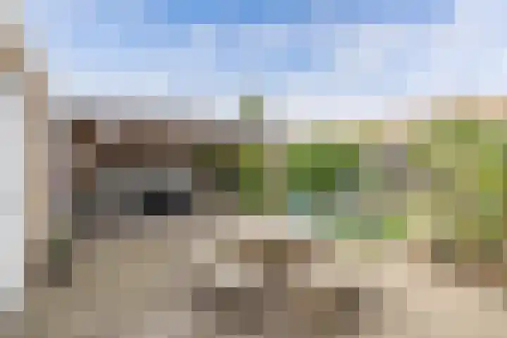 Sportsingel 20 Bant thumbnail 41