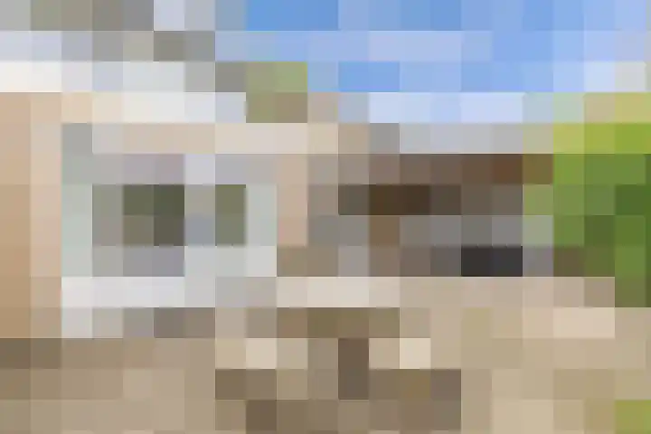 Sportsingel 20 Bant thumbnail 42