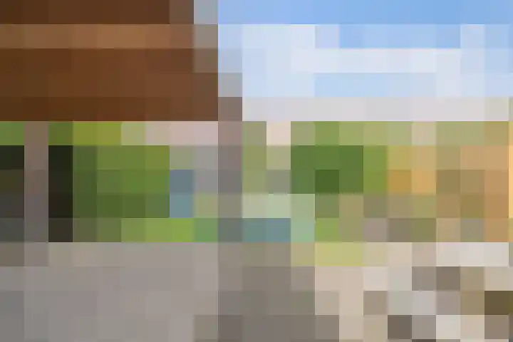 Sportsingel 20 Bant thumbnail 45