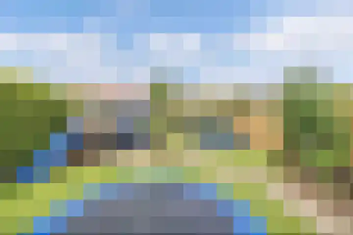 Sportsingel 20 Bant thumbnail 46
