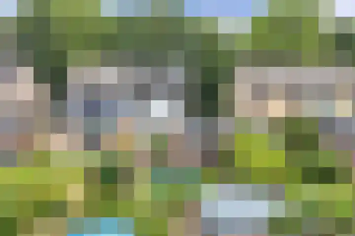 Sportsingel 20 Bant thumbnail 47