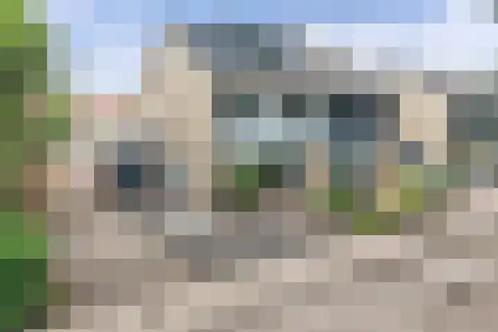 Sportsingel 20 Bant thumbnail 49