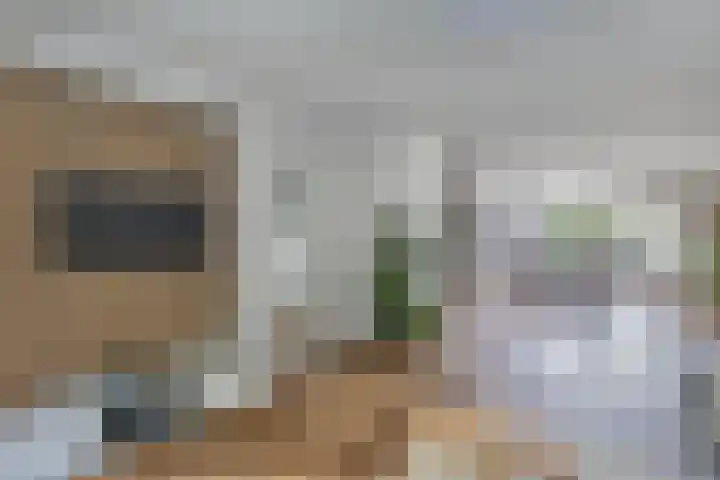 Sportsingel 20 Bant thumbnail 5