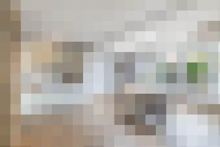 Sportsingel 20 Bant thumbnail 6
