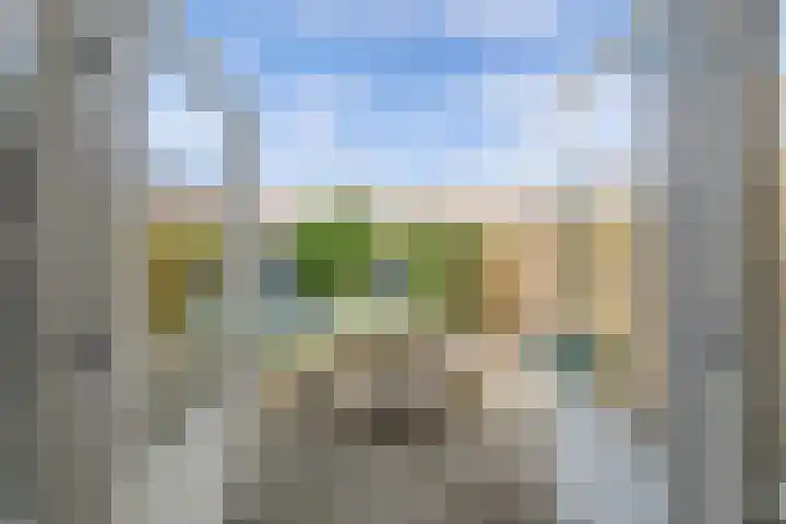 Sportsingel 20 Bant thumbnail 7