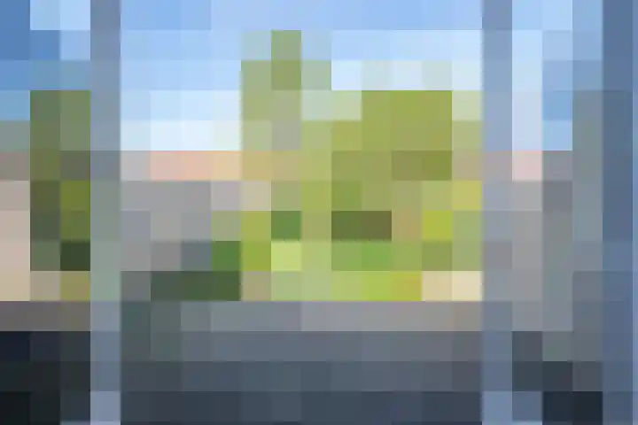 Sportsingel 22 Bant thumbnail 29