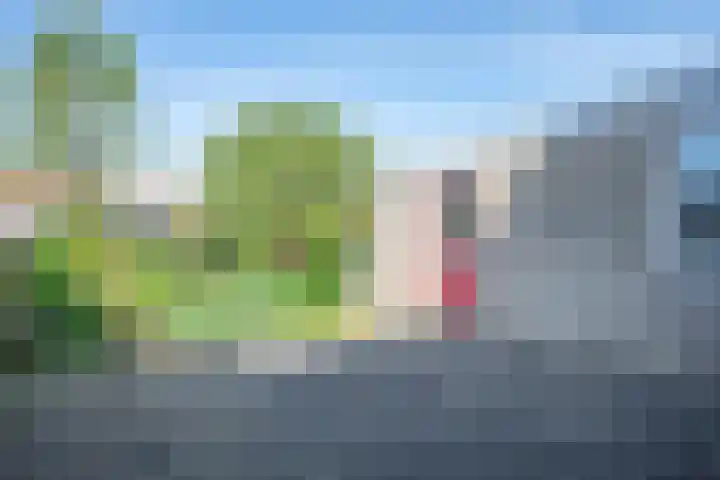 Sportsingel 22 Bant thumbnail 30