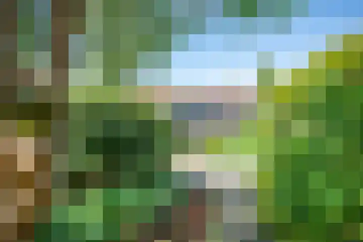 Sportsingel 22 Bant thumbnail 31