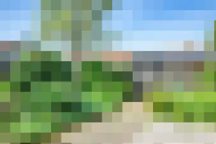 Sportsingel 22 Bant thumbnail 32