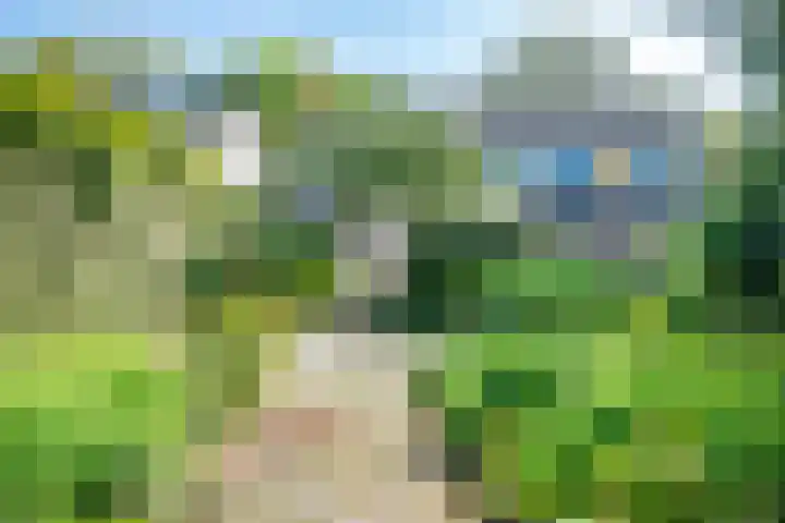 Sportsingel 22 Bant thumbnail 33
