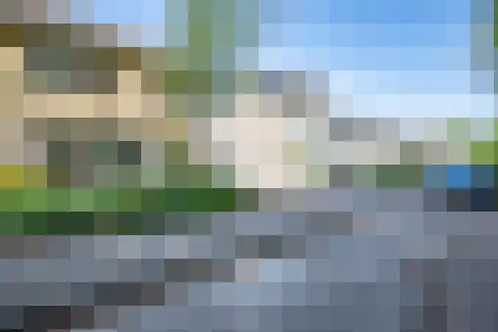 Sportsingel 22 Bant thumbnail 36