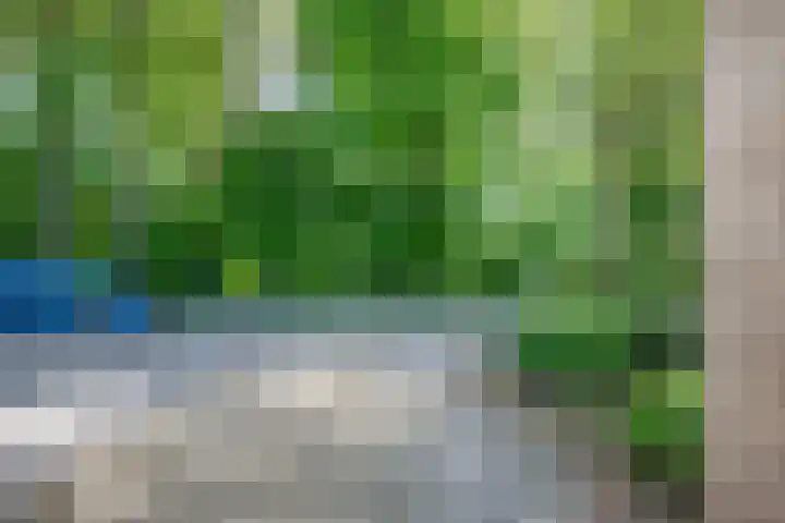 Sportsingel 22 Bant thumbnail 40