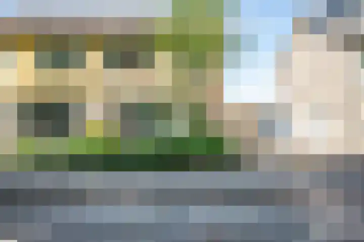 Sportsingel 22 Bant thumbnail 47