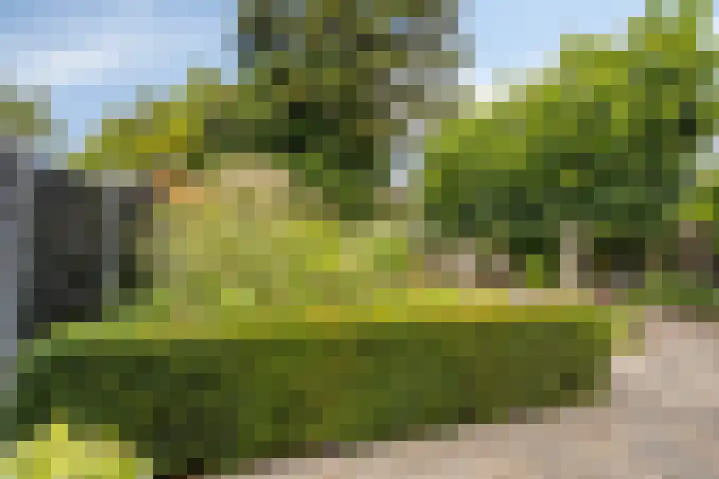 Sportsingel 34 Bant thumbnail 35