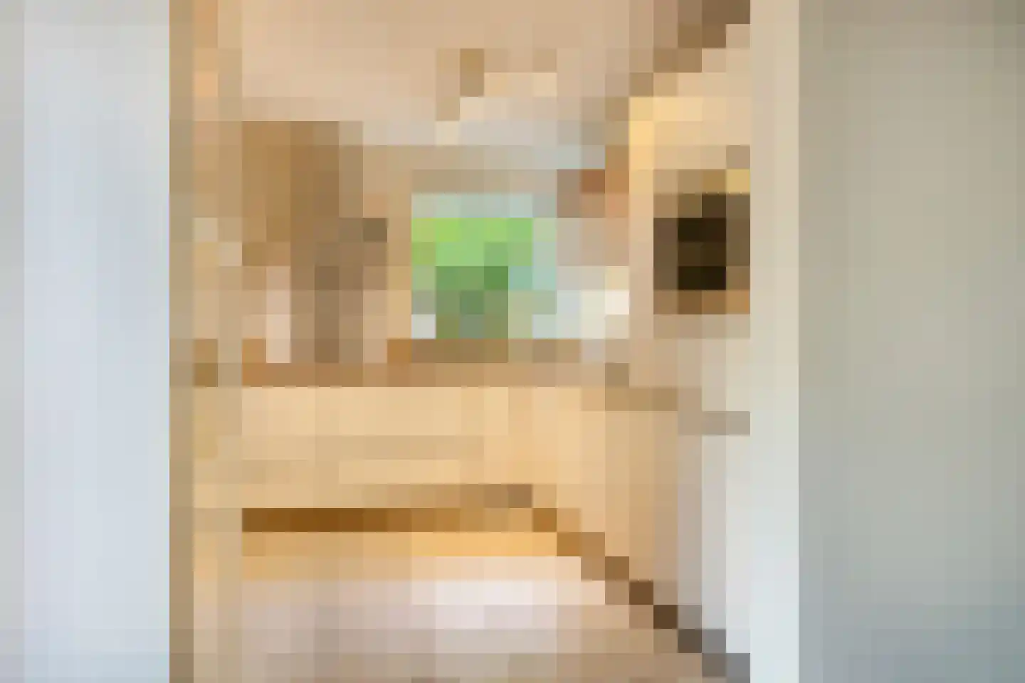Sportsingel 34 Bant thumbnail 4