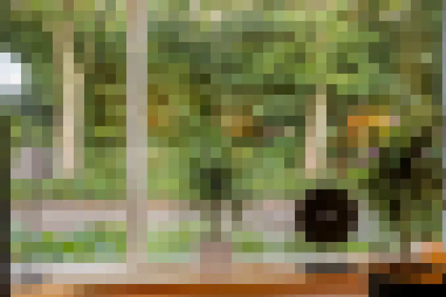 Sportsingel 34 Bant thumbnail 8