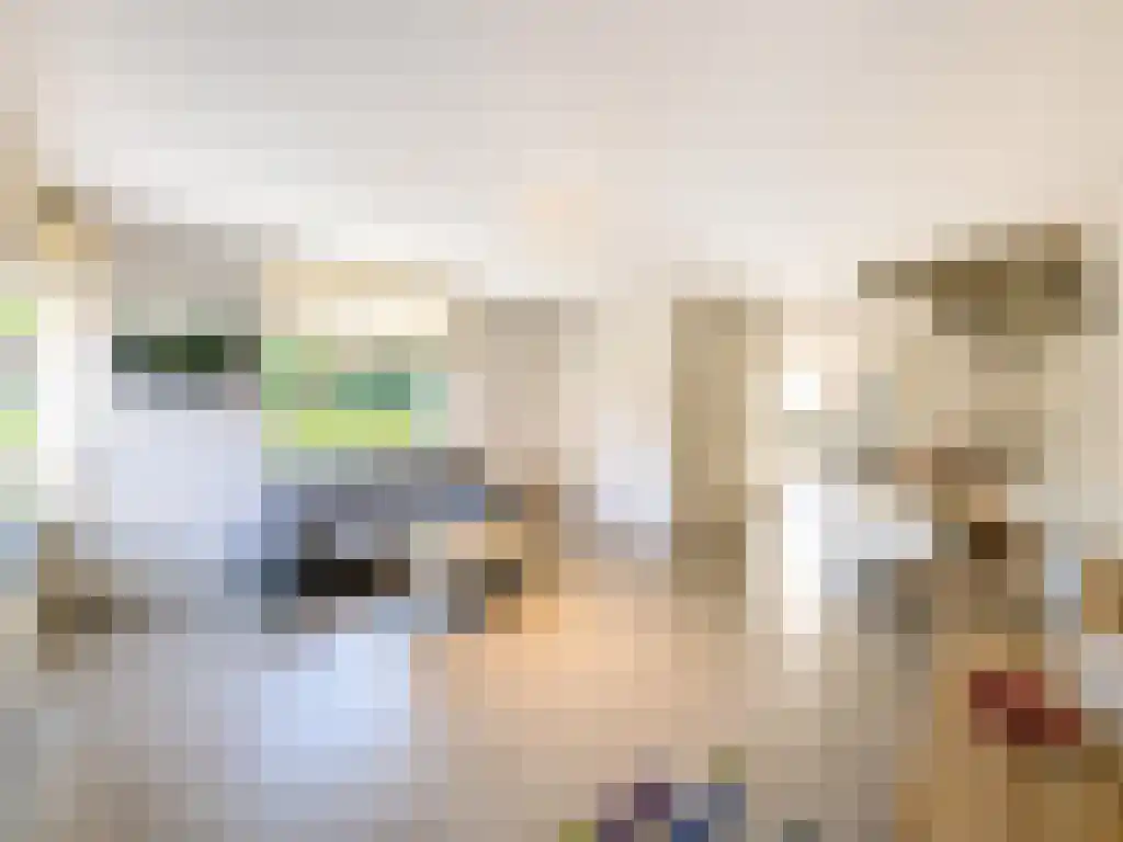 Sportsingel 5 Rotterdam thumbnail 4