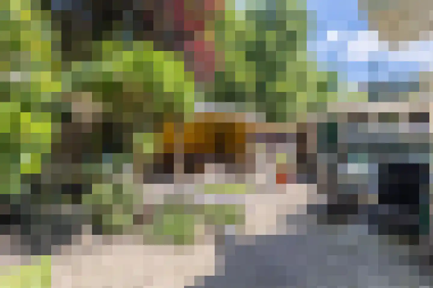 Sportstraat 12 Koog aan de Zaan thumbnail 22