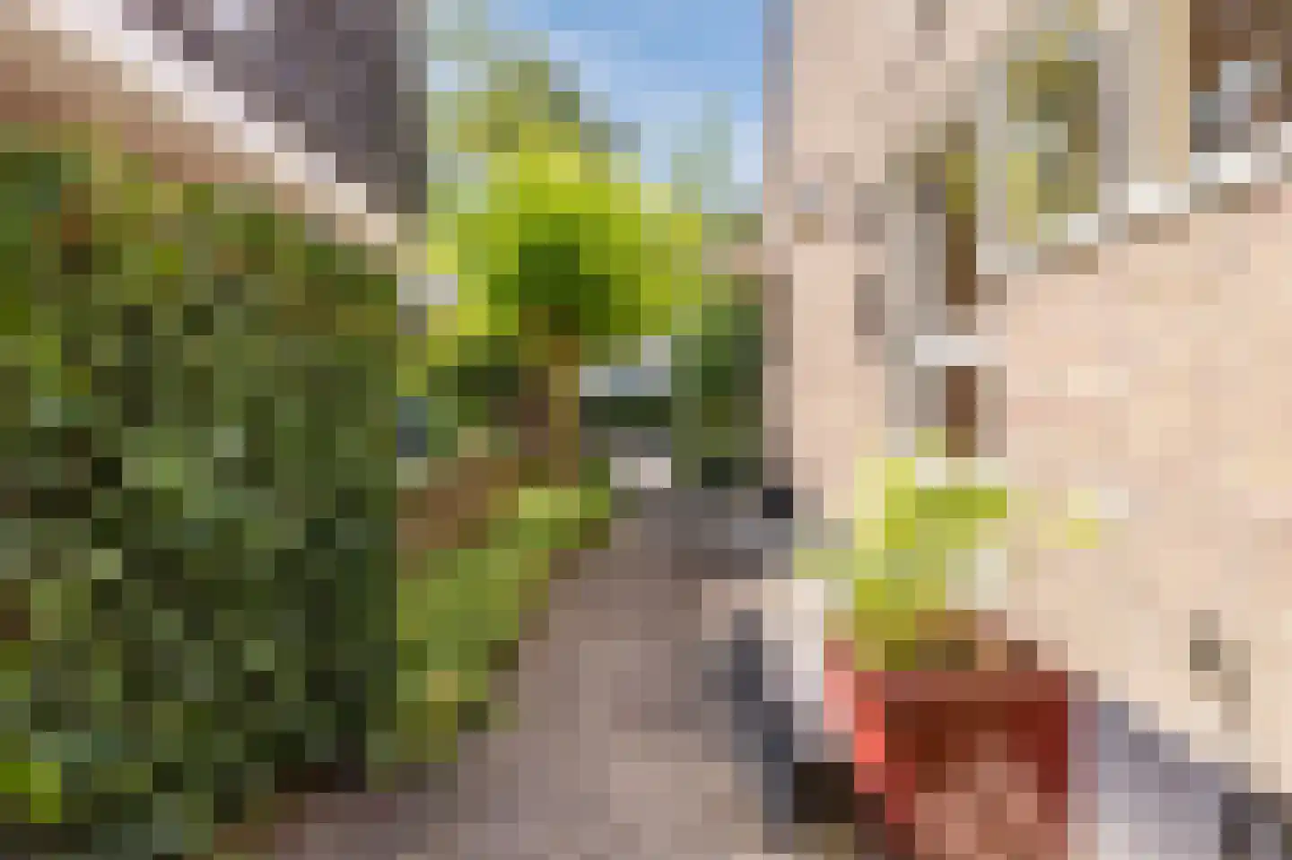 Sportstraat 12 Koog aan de Zaan thumbnail 6