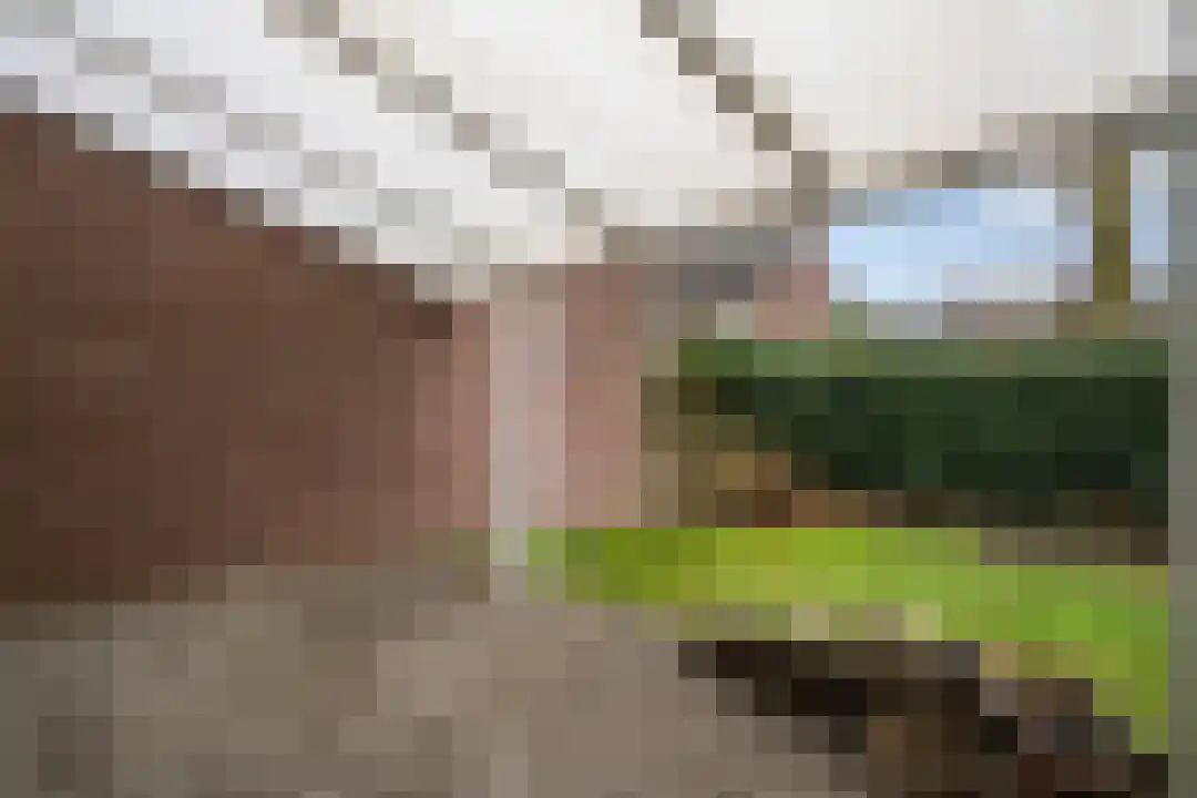Sportstraat 12 Roermond thumbnail 36