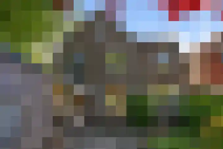 Sportstraat 2 Koog aan de Zaan thumbnail 16