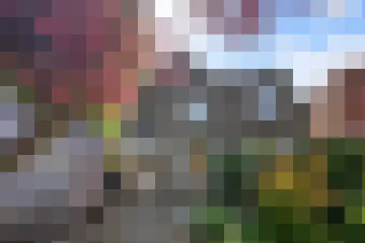 Sportstraat 2 Koog aan de Zaan thumbnail 17