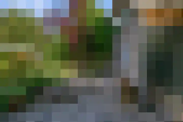 Sportstraat 2 Koog aan de Zaan thumbnail 18