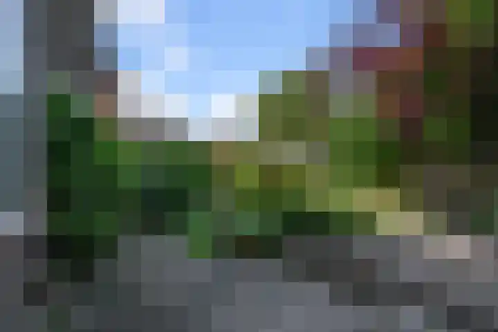 Sportstraat 2 Koog aan de Zaan thumbnail 19