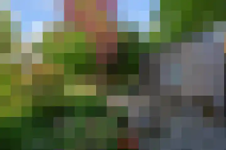 Sportstraat 2 Koog aan de Zaan thumbnail 20