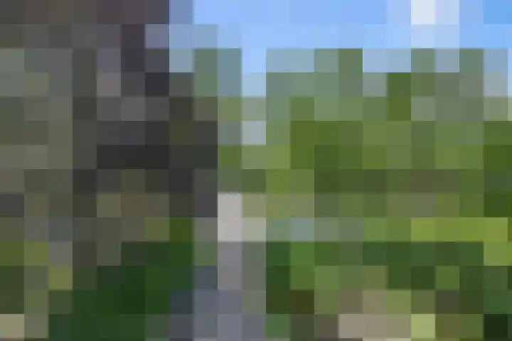 Sportstraat 2 Koog aan de Zaan thumbnail 26